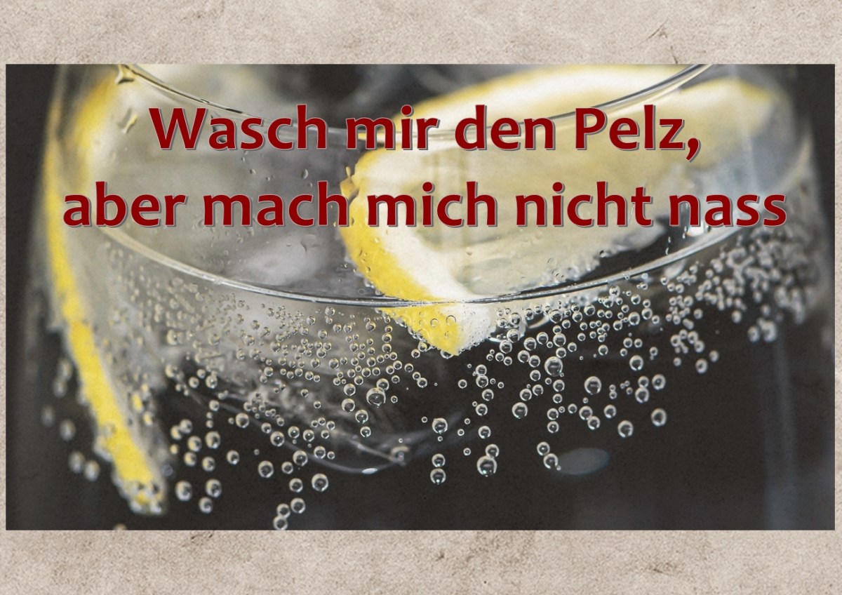 Wasch mir den Pelz, aber mach mich nicht nass – LEBENSRADWEG