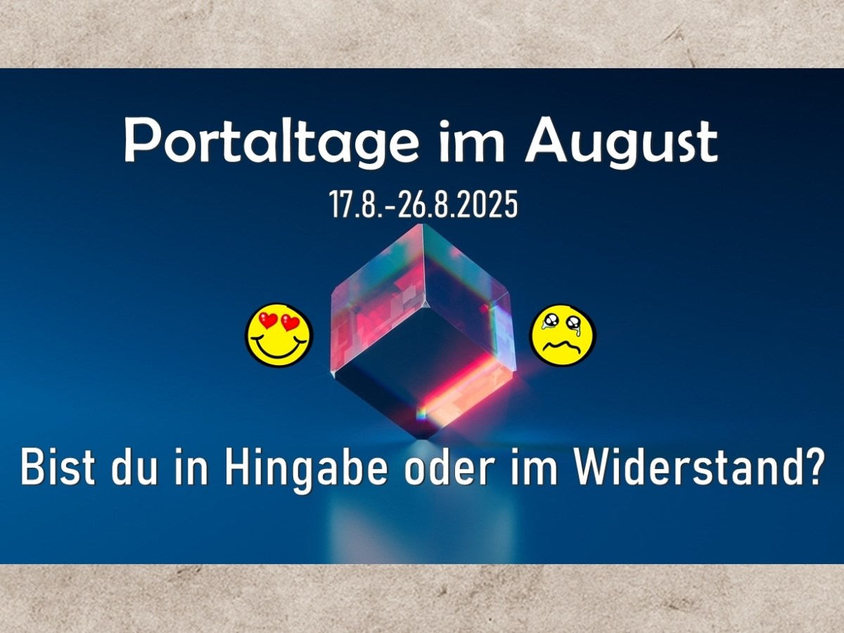 10 Portaltage im August 🗝 💫