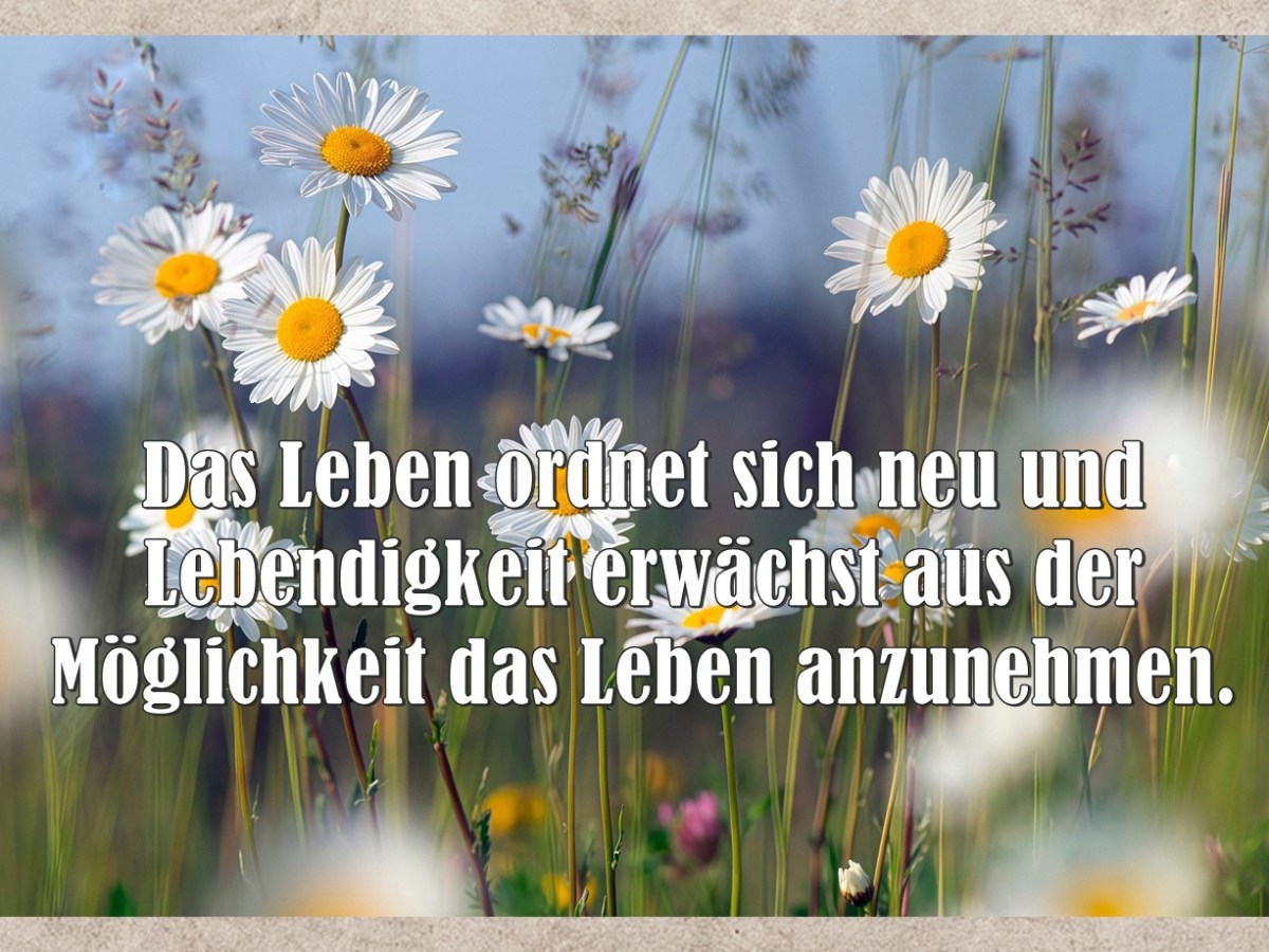 Alles neu macht der Mai 😉